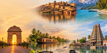 Top Travel Trends You Need to Know